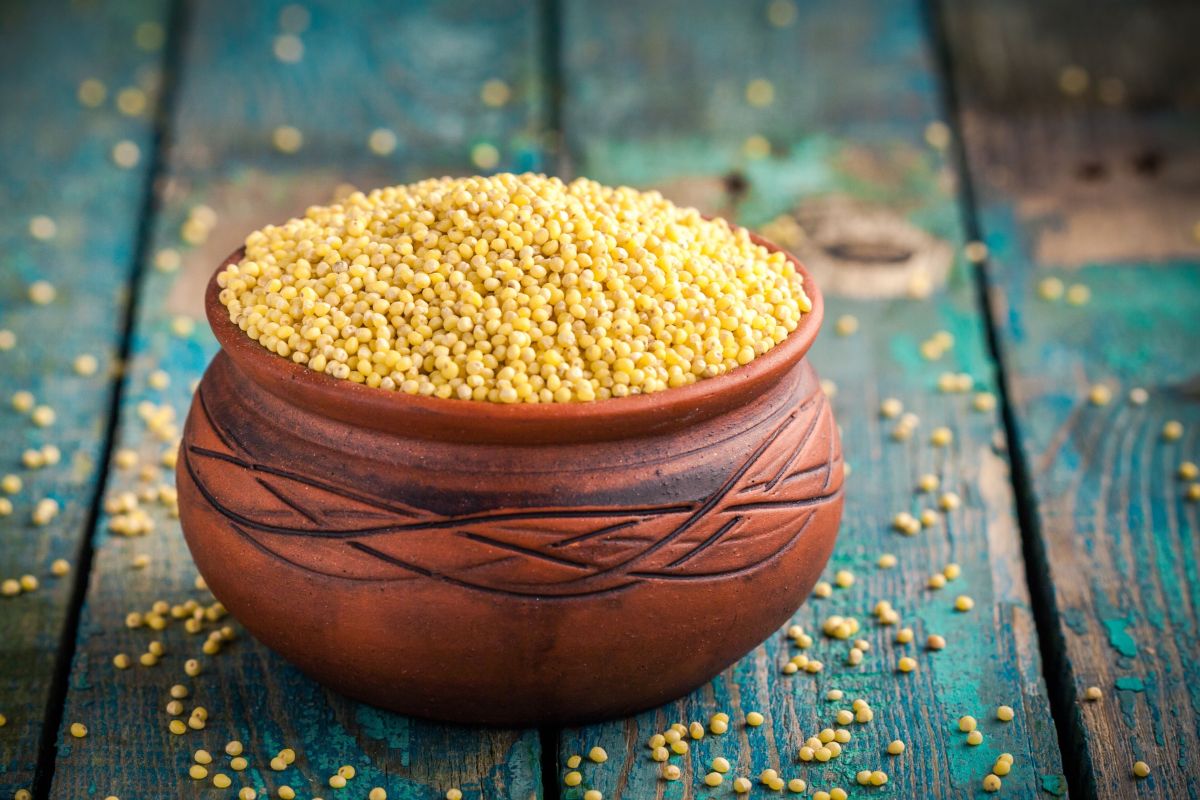 Heart problems and high cholesterol: eating millet regularly reduces risk