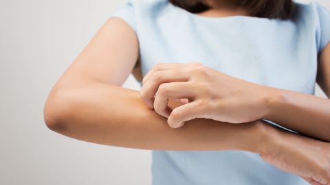 shutterstock_288802271