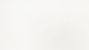 shutterstock_292623833