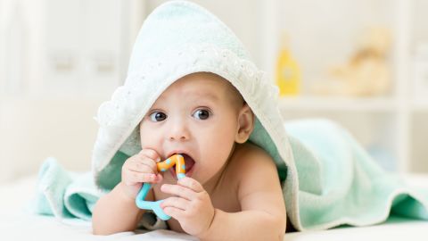 shutterstock_292623833