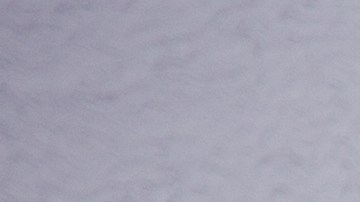 shutterstock_312788483