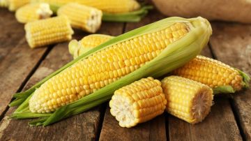 El consumo de maíz está altamente recomendado para personas que desean bajar de peso.