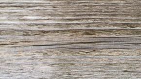 La hipercolesterolemia se relaciona con problemas cardiovasculares y aumenta el riesgo de sufrir infartos.