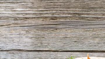 La hipercolesterolemia se relaciona con problemas cardiovasculares y aumenta el riesgo de sufrir infartos.