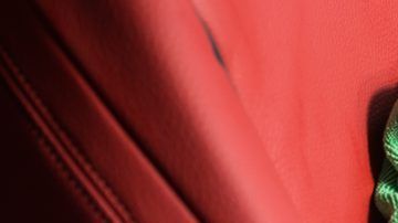 shutterstock_384259456