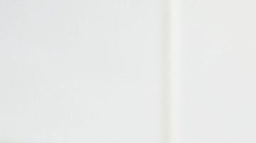 shutterstock_389911216