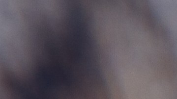 shutterstock_408082588