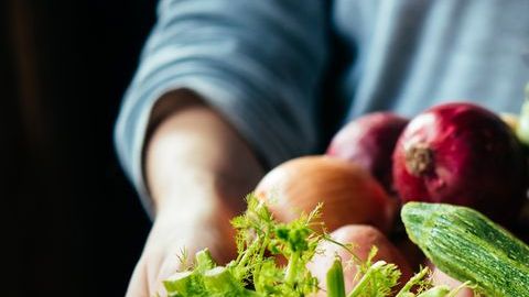 verduras
