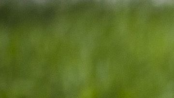 shutterstock_493296514