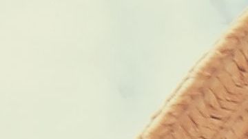 shutterstock_506702851