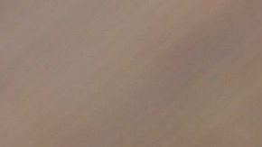 shutterstock_552783910