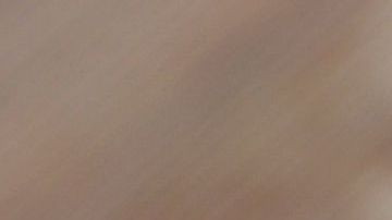 shutterstock_552783910