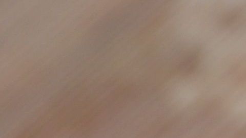 shutterstock_552783910