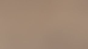 shutterstock_559549843