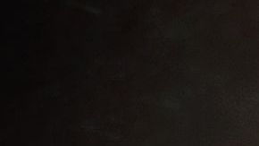 shutterstock_577556113