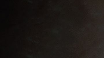 shutterstock_577556113