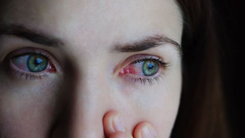 shutterstock_577556113