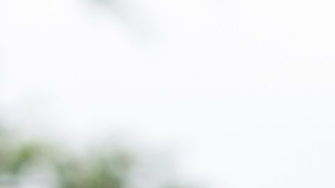 shutterstock_635789831
