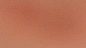 shutterstock_678887014