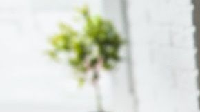 ¿Para qué tener sexo con una ex pareja?