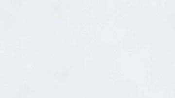 Los pistachos son una gran fuente de antioxidantes y su aceite es considerado un gran hidratante natural.