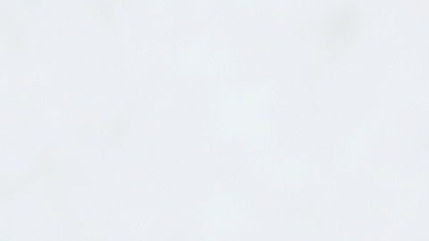 Los pistachos son una gran fuente de antioxidantes y su aceite es considerado un gran hidratante natural.