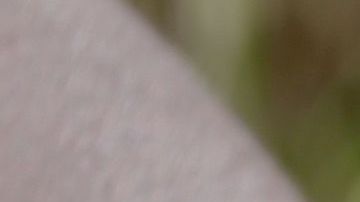 shutterstock_763365952