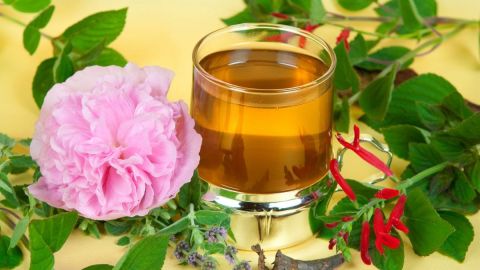 La infusión de cardo mariano es un maravilloso remedio para combatir los altos niveles de glucosa en la sangre.
