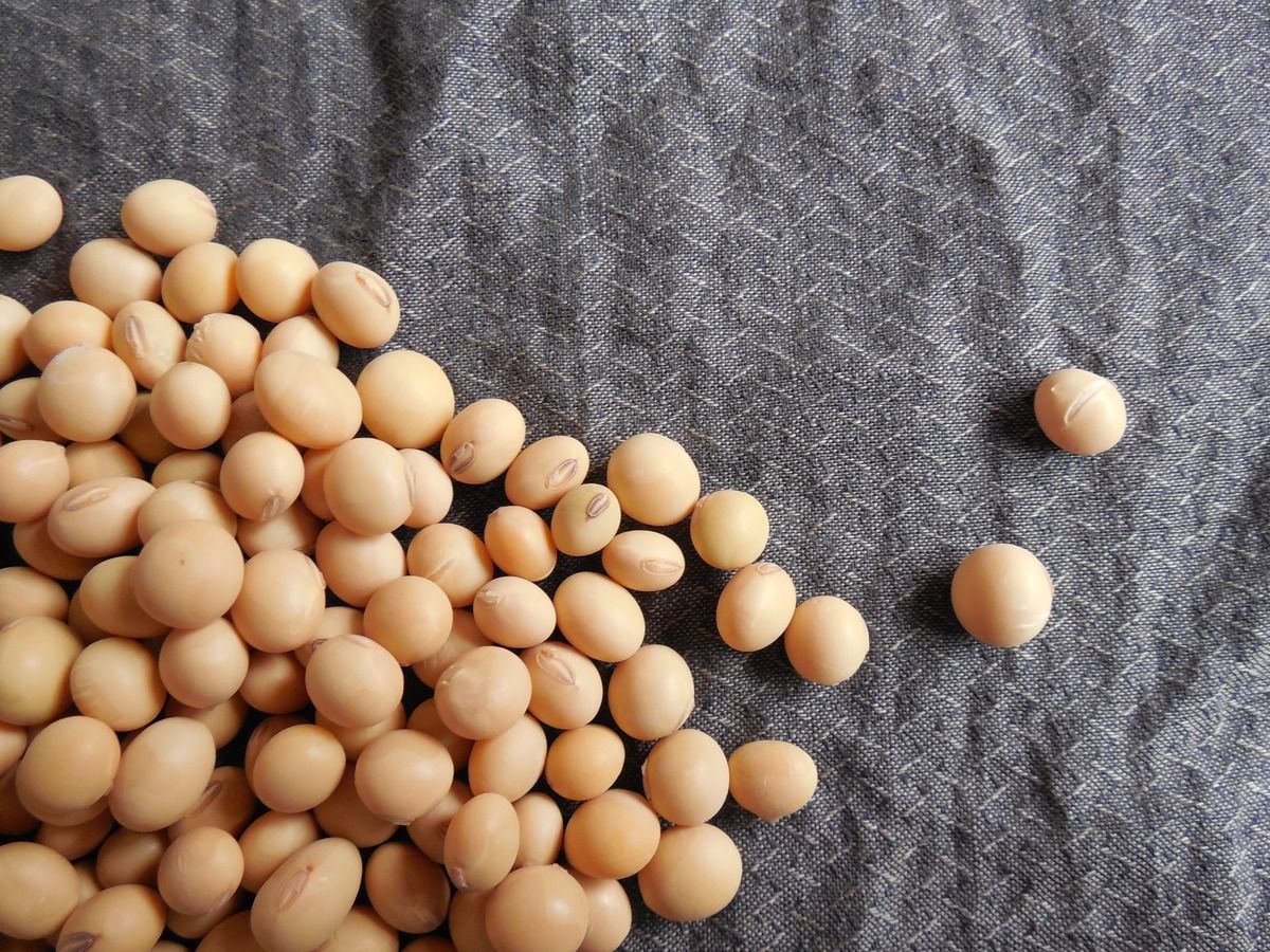 La soja tiene un alto contenido de isoflavonas, que son un tipo de estrógeno vegetal.