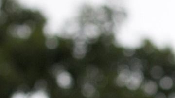 Existen casos de santos cuyos cuerpos yacen incorruptos.