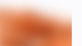 En las condiciones apropiadas, puedes almacenar estas cebollas hasta por seis meses.