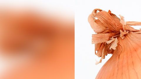 En las condiciones apropiadas, puedes almacenar estas cebollas hasta por seis meses.