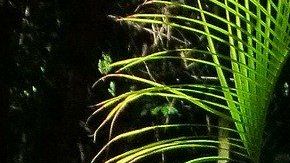 El horóscopo Azteca se basa en su calendario.