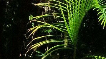 El horóscopo Azteca se basa en su calendario.