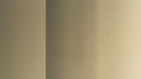 No sólo pagan bien, sino que puedes hacerlo desde casi cualquier lugar.