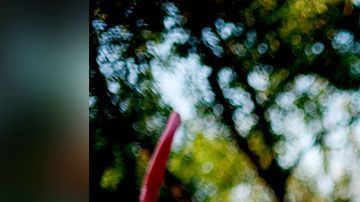 Un empleo de fin de semana podría ayudarte a mejorar tus finanzas personales.