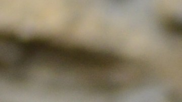 Los trovadores eran poetas cuyos mensajes de amor eran  generosos, galantes y gentiles.