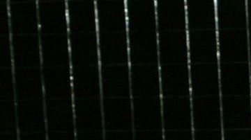 Kobe y Vanessa se conocieron hace 20 años.