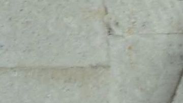 Vanessa Claudio, nueva conductora de "Suelta la Sopa".