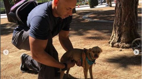 El veterinario Kwane Stewart convirtió su labor solidario en su estilo de vida.