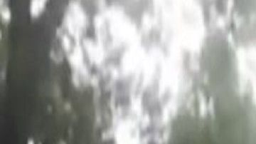 VIDEO 40 sicarios del Mencho y el CJNG avanzan por México