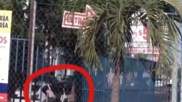 VIDEO: Así ejecutan sicarios con tiro de gracia en territorio del Cártel de Sinaloa