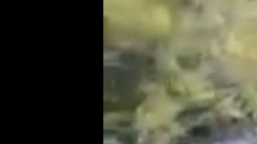 VIDEO: Sicarios interrogan a joven a punta de balazos hasta darle el tiro de gracia