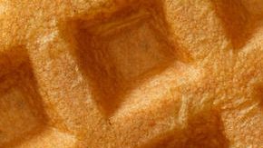 Waffle-Dusty Pixel-Canva