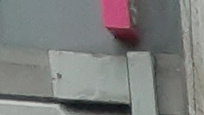 El activista ecuatoriano Walter Sinche describe un momento muy complicado para su comunidad.