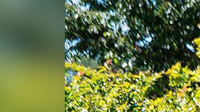 También despidieron a los otros empleados que se pueden ver en el video.