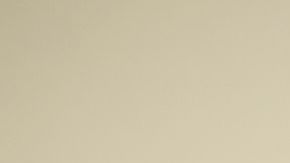 El Distrito Escolar Unificado de L.A. cerró las escuelas para detener el contagio.