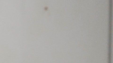 Se han registrado ya varios casos de envenenamiento por mala información.