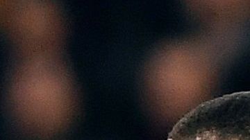 Los Die Schwarzgelben y El Gigante de Baviera son dos de los clubes que realizarán la millonaria aportación.