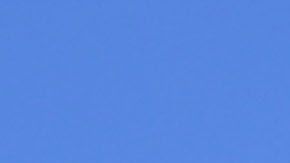 Carlos Perea servirá a su comunidad en Santa Mónica.